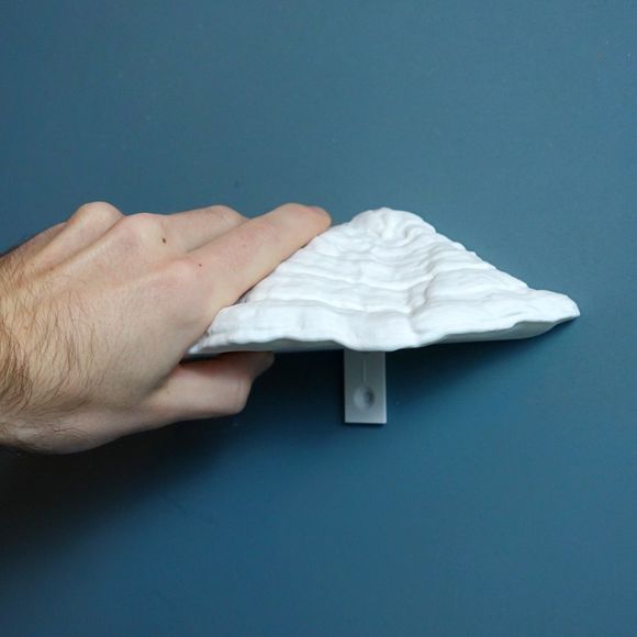 Carnosum Fungus Magnetic Key Holder for Party, Living Room, Bedroom - Picture 7 of 9